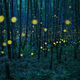 Kei Nomiyama / Sony World Photography Award